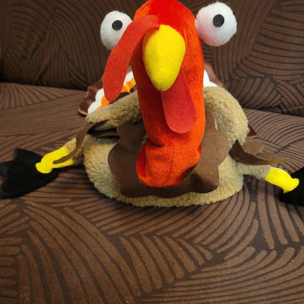 Thanksgiving Hat Silly Turkey Cap for Thanksgiving Dress -Up Party